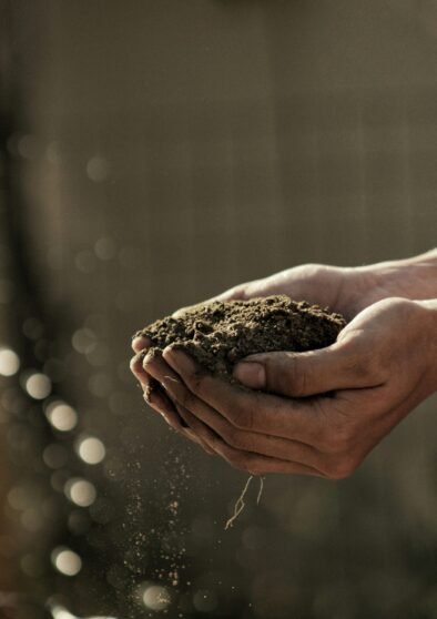 bokeh photography of person carrying soil