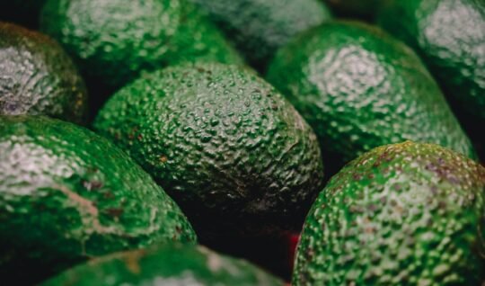 a pile of green avocados sitting next to each other