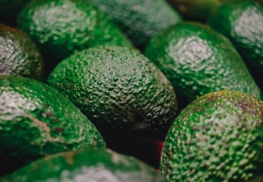 a pile of green avocados sitting next to each other